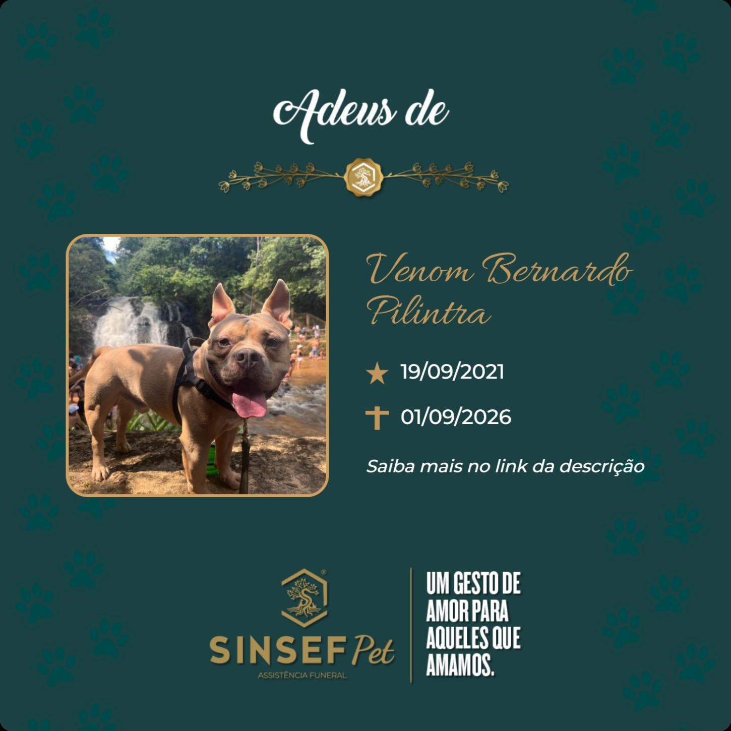 O Grupo Sinsef se despede do Venon