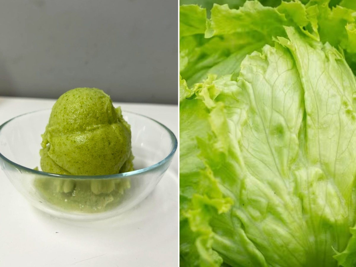 Inovação culinária: como surgiu o surpreendente sorvete de alface