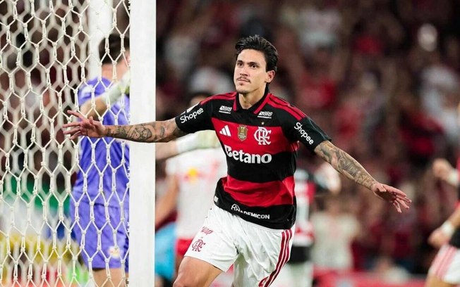 Flamengo dispara na liderança do Brasileirão e aumenta chances de título segundo a UFMG