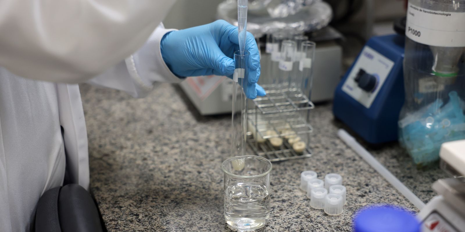 Doença de Newcastle em Santa Catarina tem protocolos sanitários cumpridos
