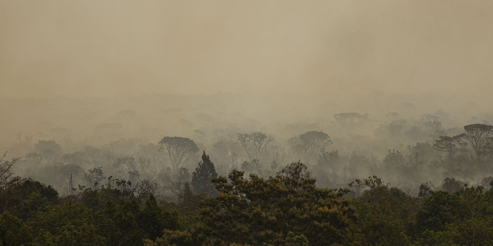 Força Nacional do SUS atua no Amazonas contra impactos de incêndios florestais