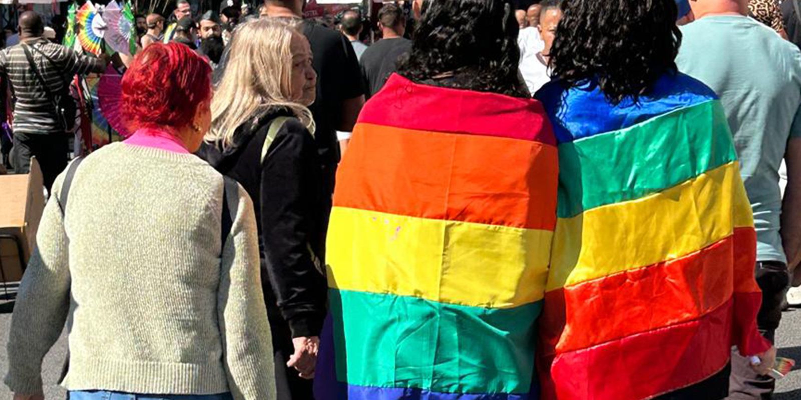 Plataforma aponta 13 mil ataques virtuais contra candidaturas LGBT