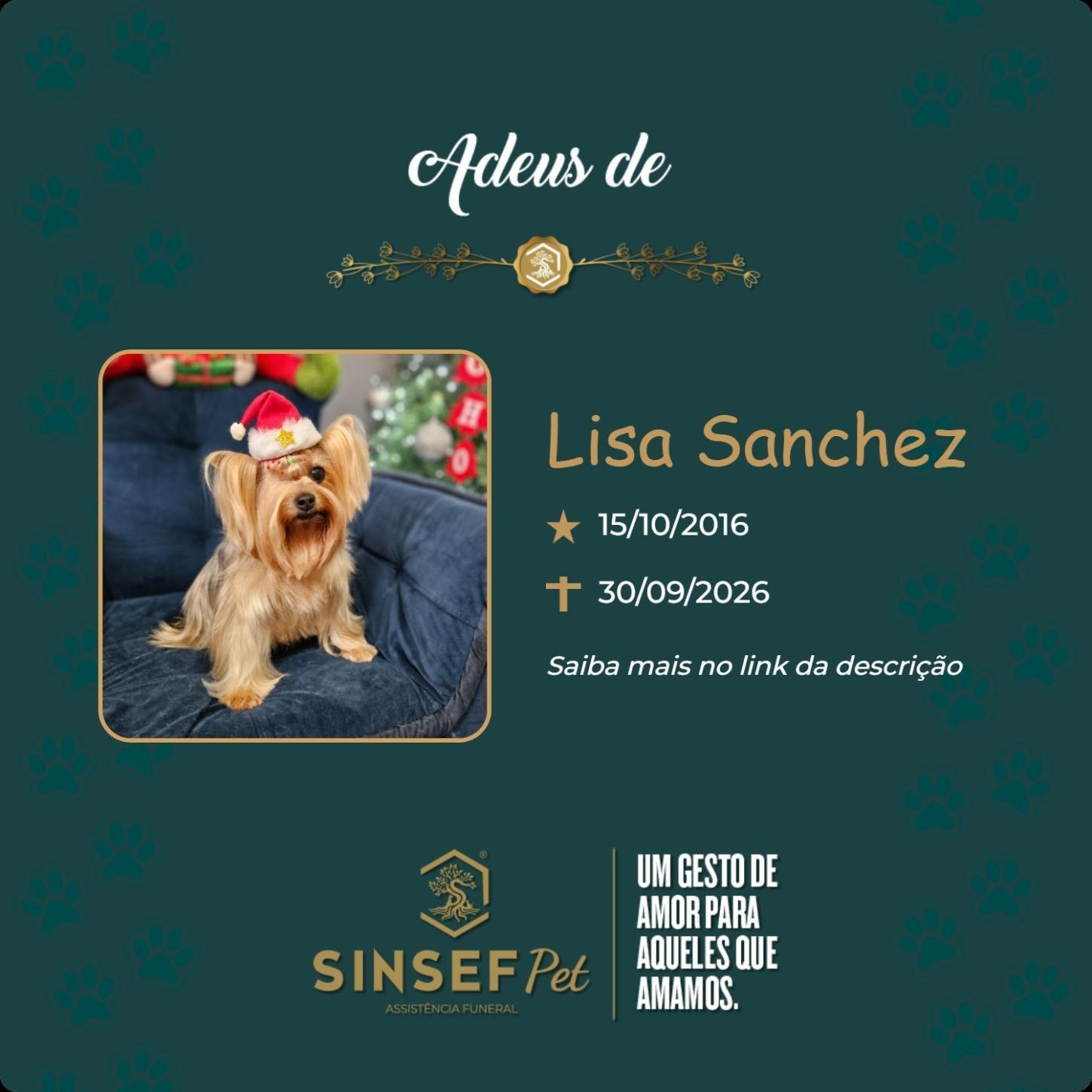 O Grupo Sinsef se despede de Lisa Sanchez