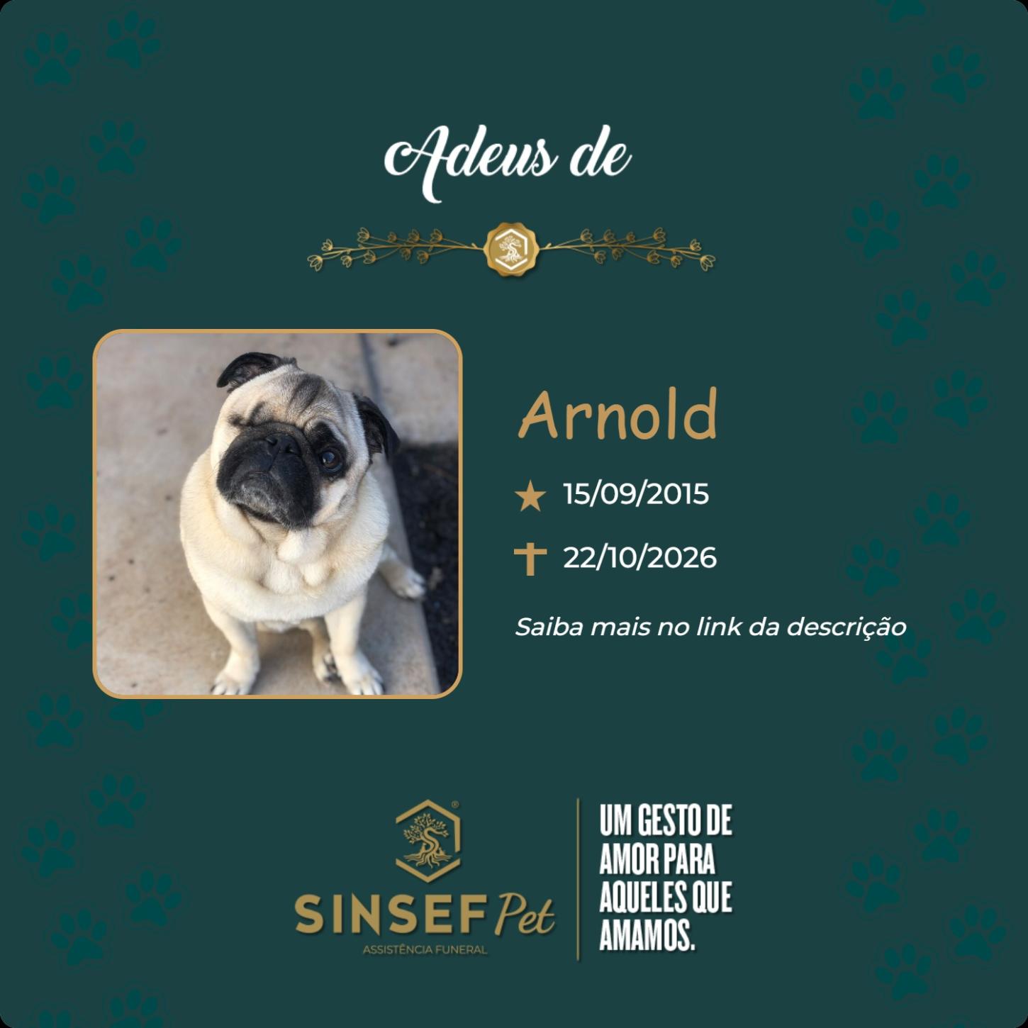 O Grupo Sinsef se despede de Arnold
