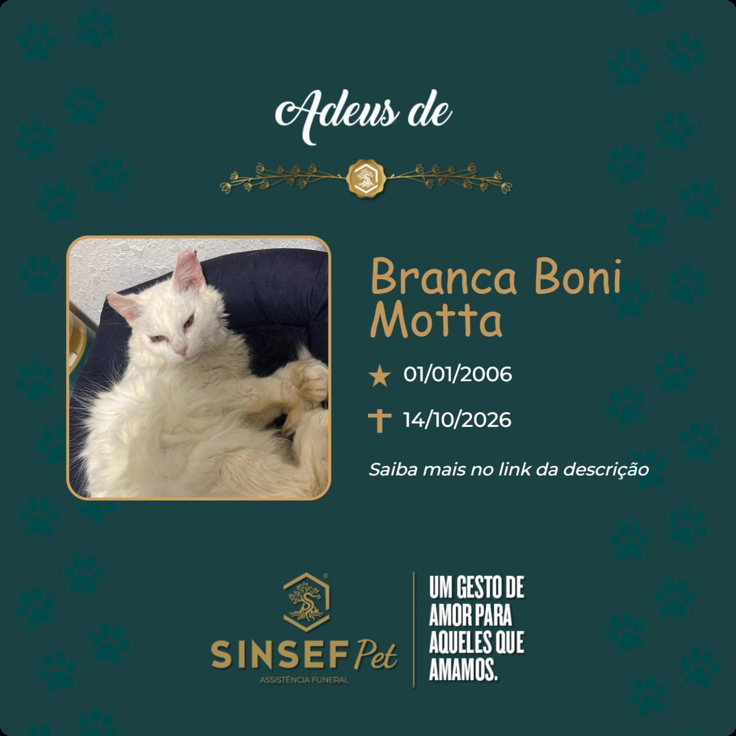 O Grupo Sinsef se despede de Branca
