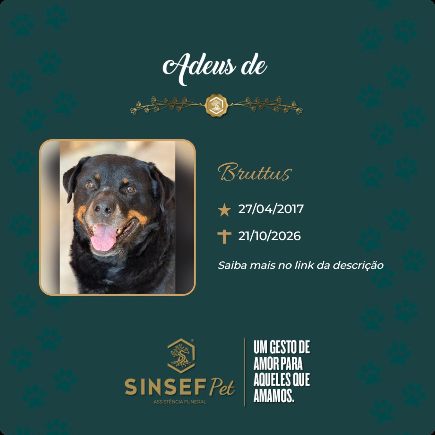 O Grupo Sinsef se despede de Bruttus
