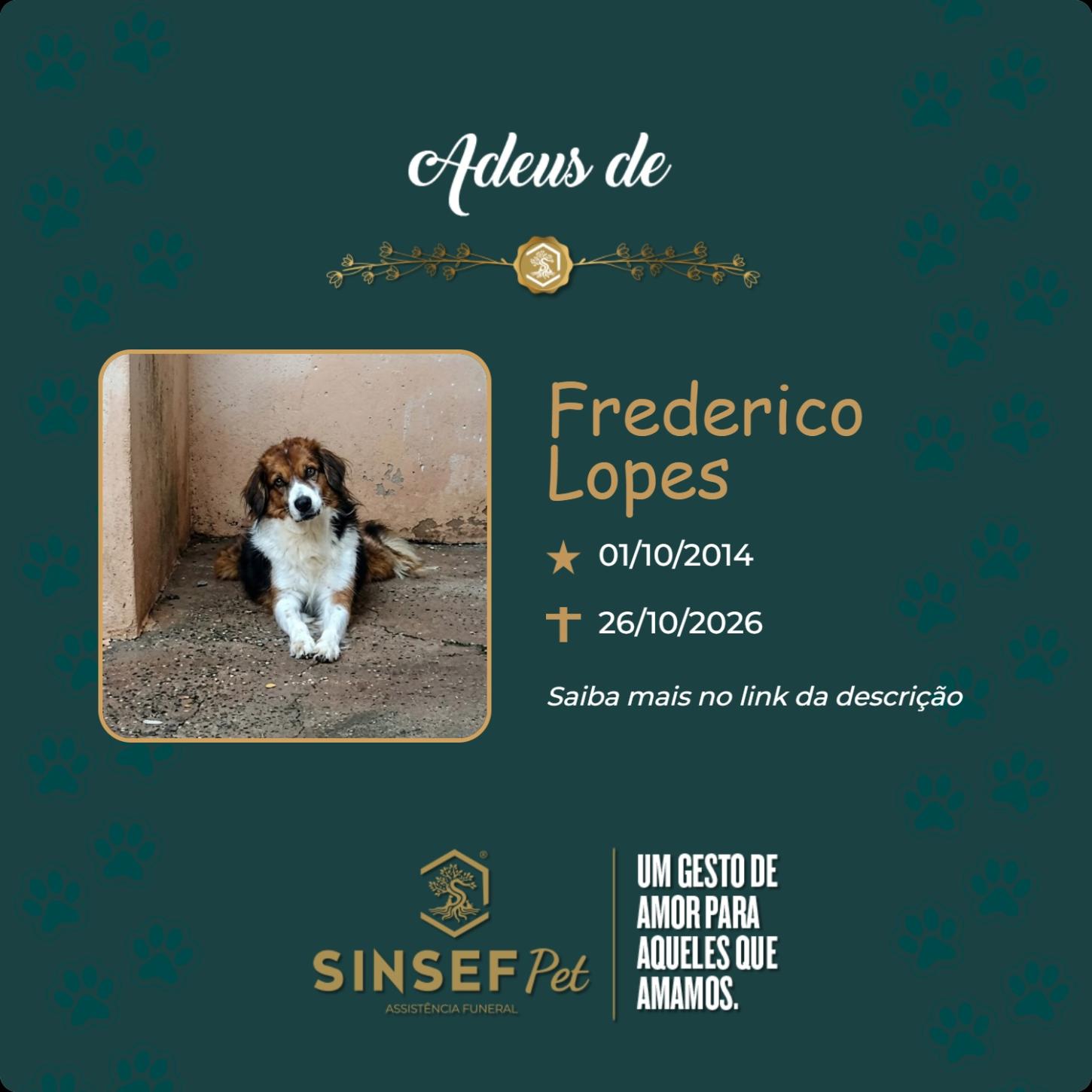 O Grupo Sinsef se despede de Frederico
