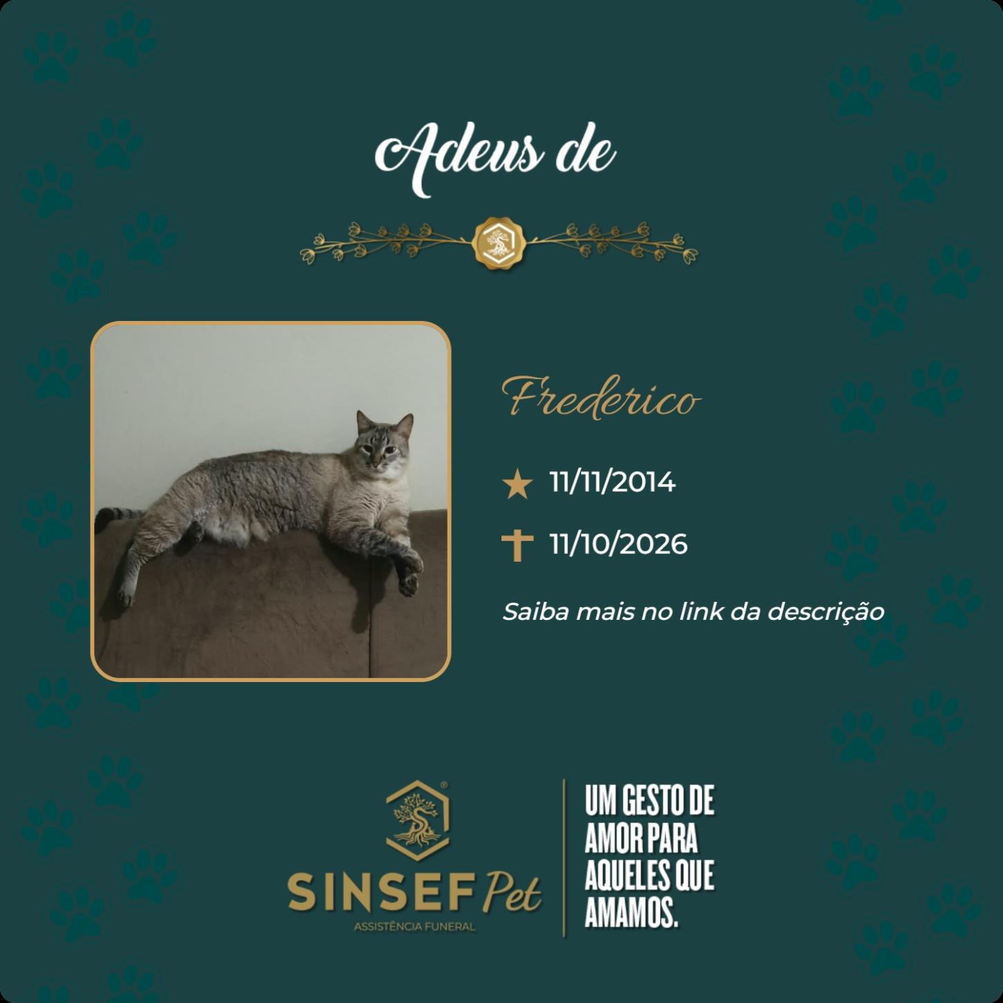 O Grupo Sinsef se despede de Frederico