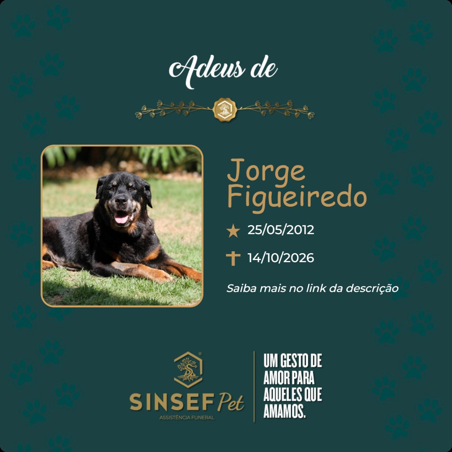 O Grupo Sinsef se despede de Jorge Figueiredo