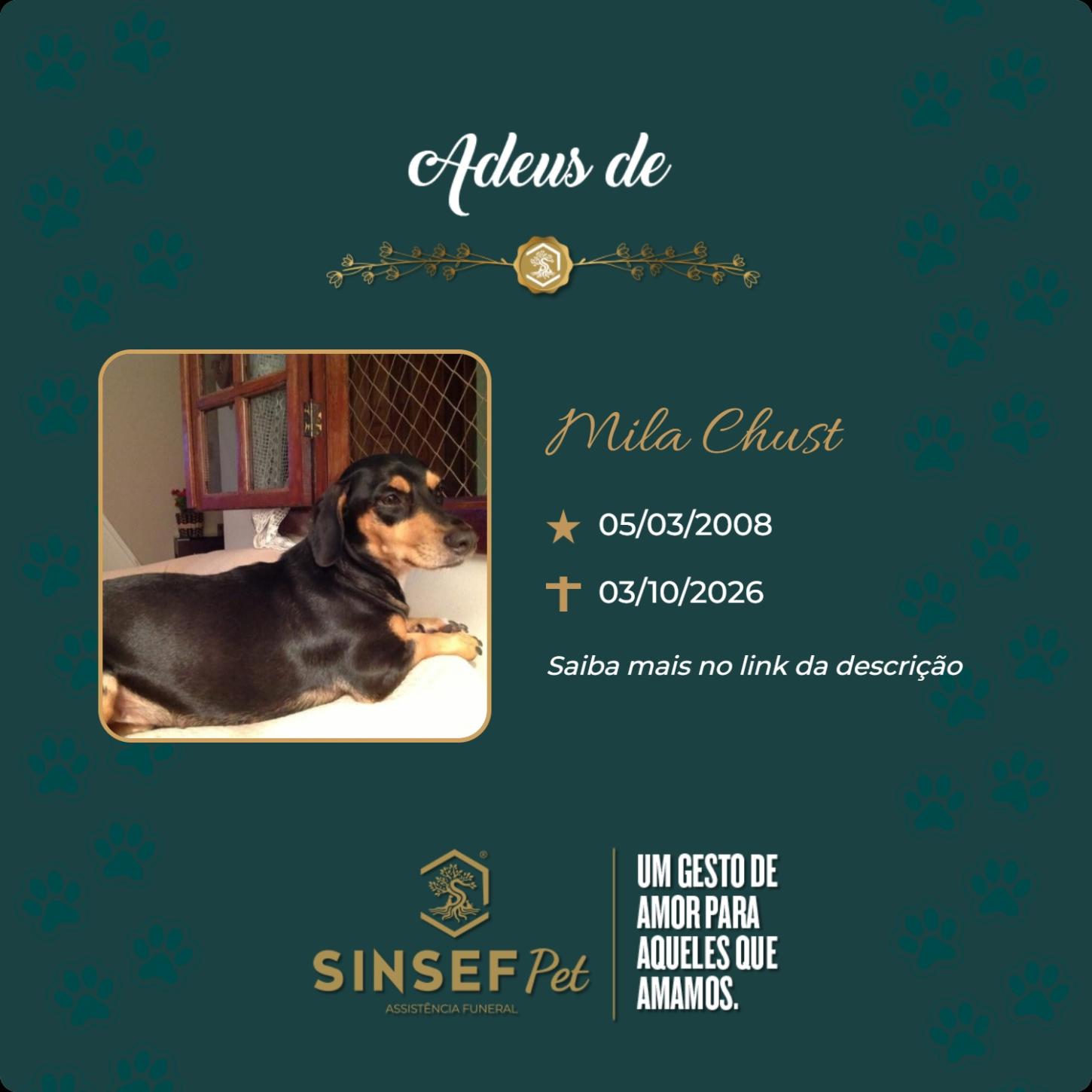 O Grupo Sinsef se despede de Mila chust