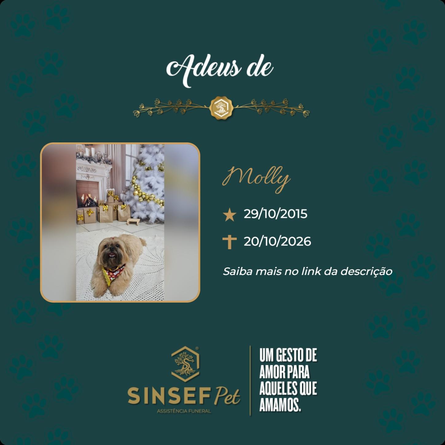 O Grupo Sinsef se despede de Molly