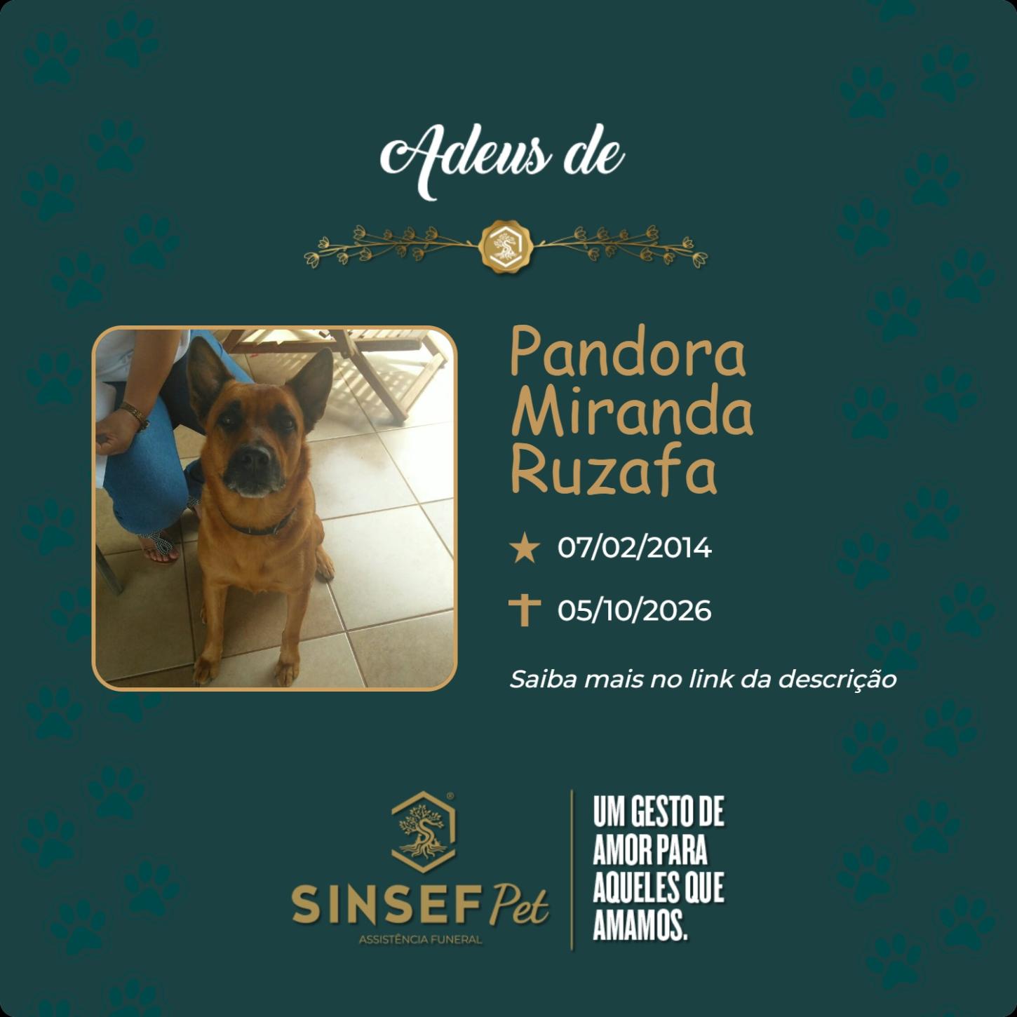 O Grupo Sinsef se despede de Pandora Miranda 