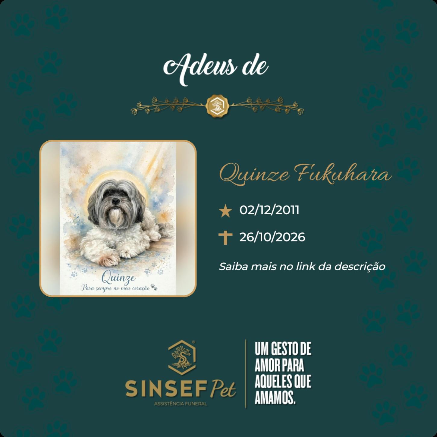 O Grupo Sinsef se despede de Quinze Fukuhara