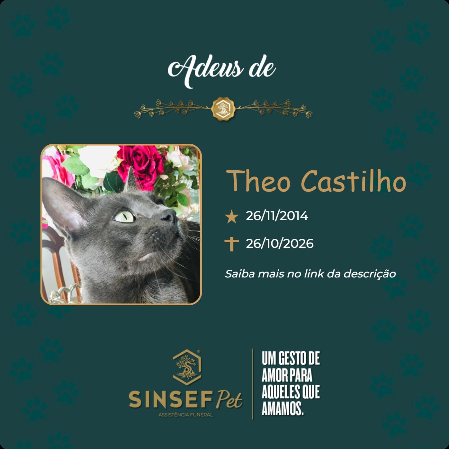 O Grupo Sinsef se despede de Theo