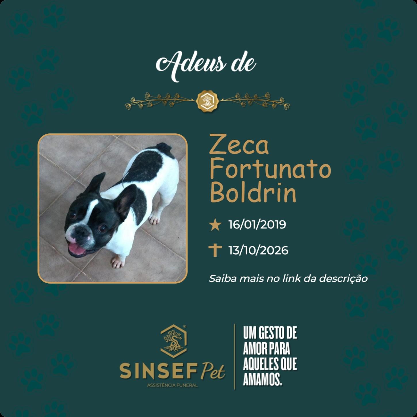 O Grupo Sinsef se despede de Zeca Boldrin