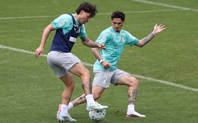 Palmeiras inicia tratamento de Paulinho após susto na Libertadores