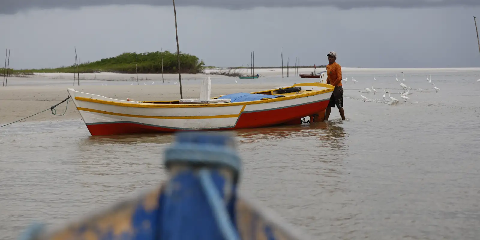 Operação Indefeso da Polícia Federal bloqueia milhões no Maranhão