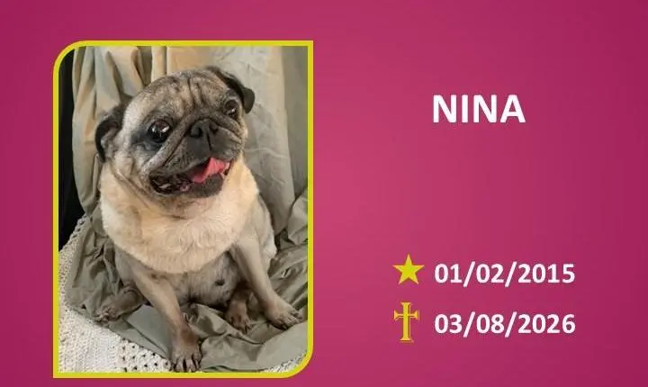 A Funerária Bom Jesus comunica o falecimento da amiguinha NINA.