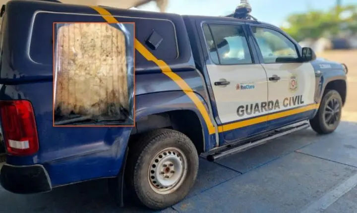 Homem acusado de homicídio com tábua de carne é condenado em São Paulo