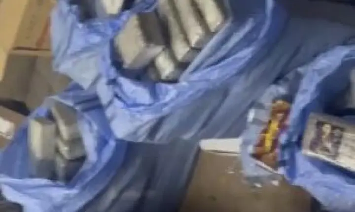 BAEP realiza apreensão de maconha em casa abandonada em São Carlos