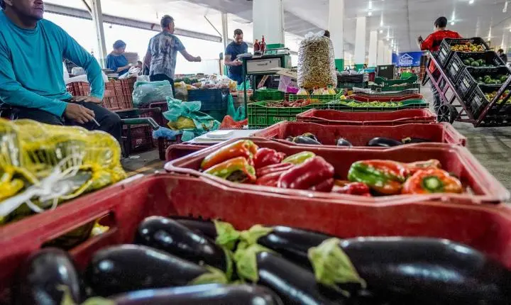 Iniciativa contra o desperdício de alimentos busca mudar hábitos de consumo