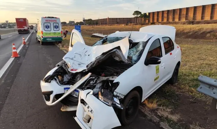 Acidente inusitado envolve carro, caminhão e animal na rodovia