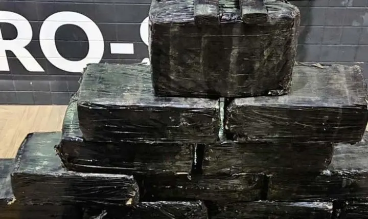 Casal é detido com mais de 300 kg de maconha em rodovia do interior de SP
