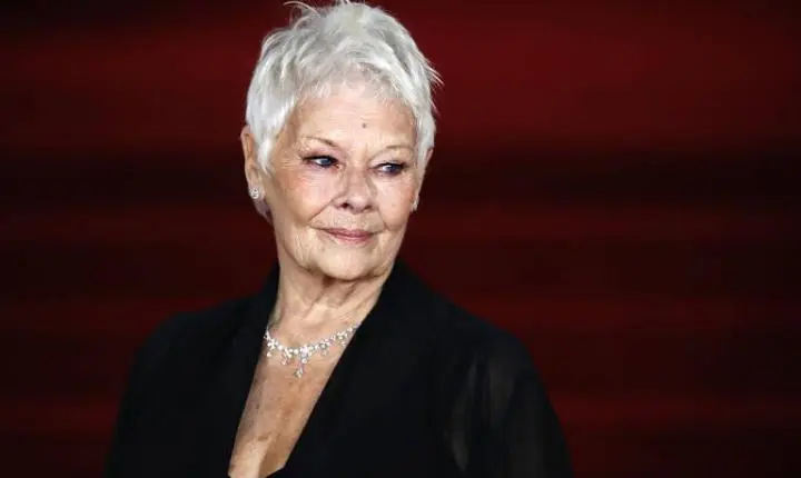 CASO DE DEGENERAÇÃO MACULAR DA ATRIZ JUDI DENCH ALERTA SOBRE LIMITAÇÕES NO COTIDIANO