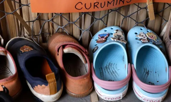 Apenas 17% das creches e pré-escolas brasileiras possuem infraestrutura básica, aponta Censo