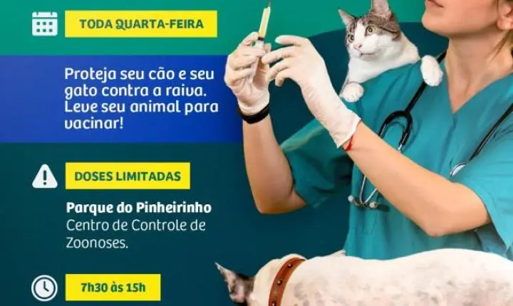 Centro de Controle de Zoonoses promove vacinação gratuita contra a raiva para cães e gatos