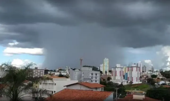 Alerta em São Carlos aponta risco de ventania e queda de árvores