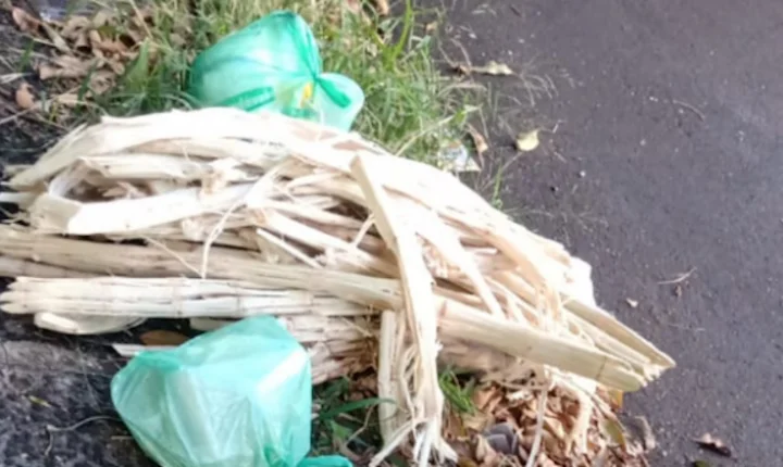 Prefeitura confirma regularidade da coleta de lixo na Vila Velosa