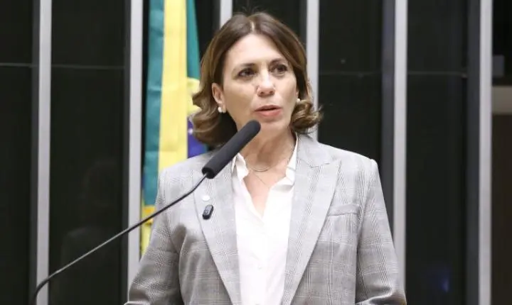 Comissão da Câmara aprova internet obrigatória em voos com mensagens de texto gratuitas