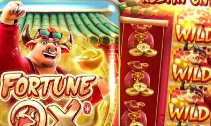 Como funciona o jogo Fortune Ox e onde jogar