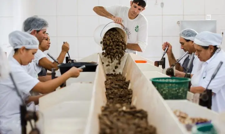 Acordo mercosul-ue: prazo para consulta sobre bens sustentáveis acaba quarta