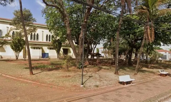 Cães em situação de rua nas praças do Carmo e Santana geram pedido de controle