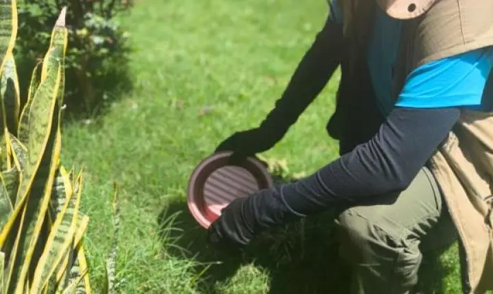 Araraquara: intensificadas ações de controle de vetores em vários bairros