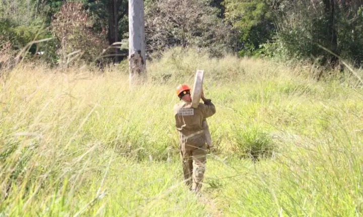 Corpo de Bombeiros inicia queima prescrita no Parque Pinheirinho nesta segunda