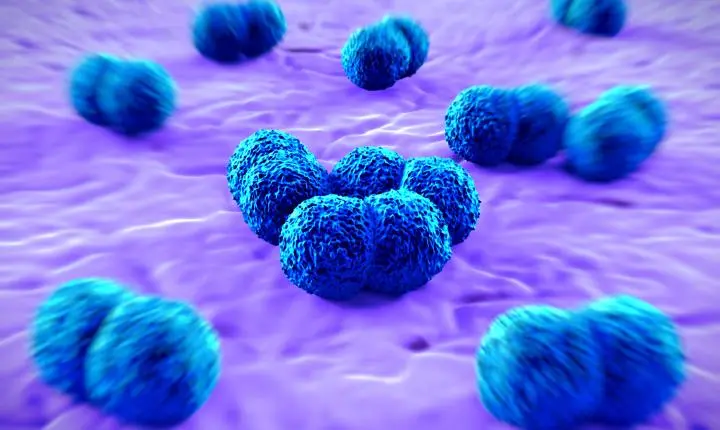 Criança de 8 anos morre vítima de meningite bacteriana no interior de SP