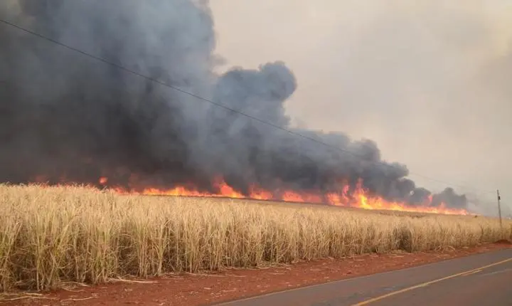 Defesa Civil de Araraquara e Fundação ITESP unem forças na prevenção de incêndios