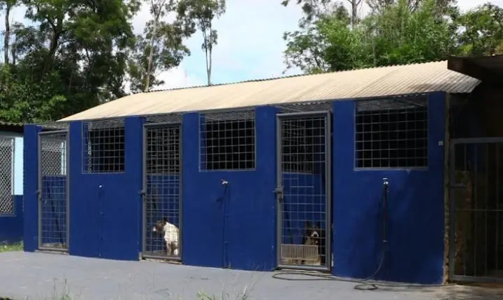 Solicitação de acesso simplificado ao cadastro de castração e Bem-Estar Animal no site da Prefeitura