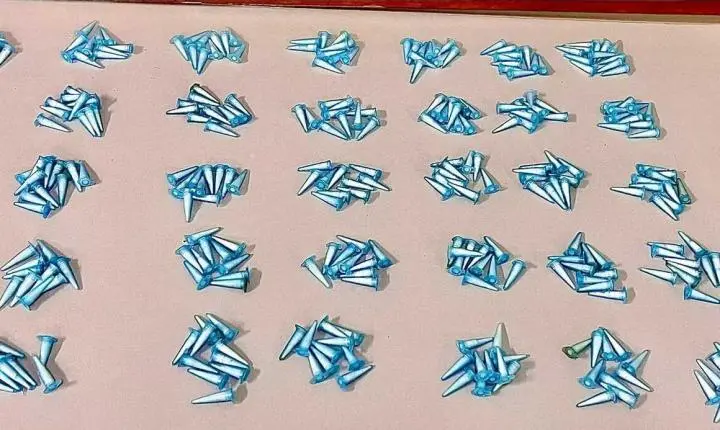 Dois homens são detidos com centenas de pinos de cocaína após tentativa de esconder drogas em Analândia