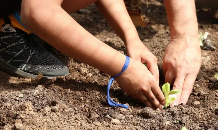 Carta cobra propostas de agroecologia nas eleições de candidatos em SP