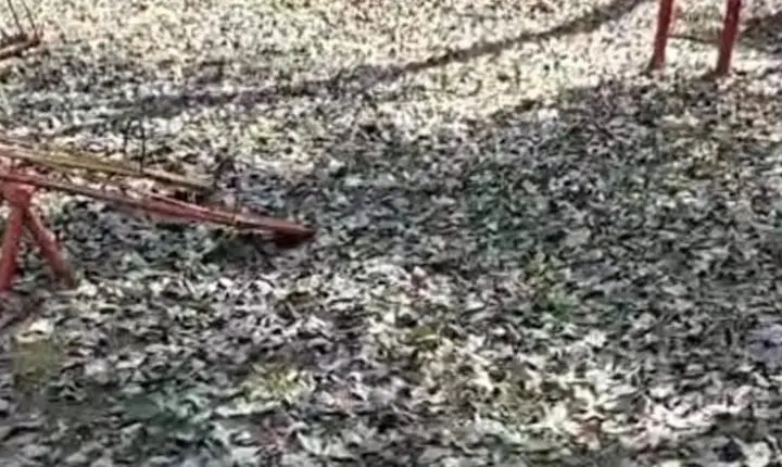 Moradores cobram zeladoria em praças da Vila Xavier e Vila José Bonifácio