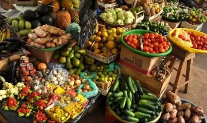 Feira de Alimentos valoriza produção local e alimentação em Araraquara