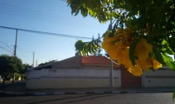 Frio de 12°C e Sol Pleno Marcam a Terça-feira em Araraquara!