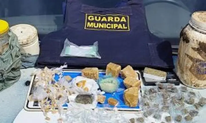 Guarda Municipal de São Carlos apreende grande quantidade de drogas em terreno no São Carlos VIII