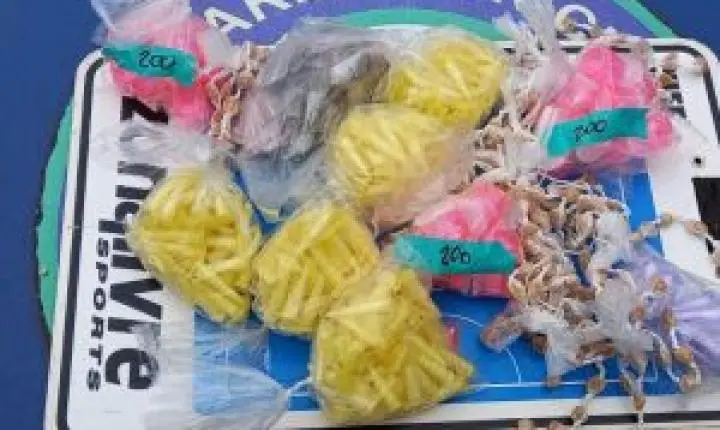 Guarda Municipal de São Carlos apreende expressiva quantidade de drogas escondidas no Jardim Jacobucci