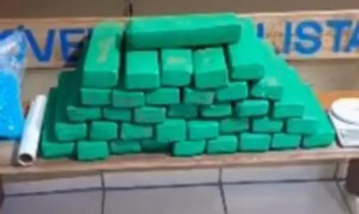 Apreensão de maconha: PM encontra 35 kg de droga em sítio no interior de SP
