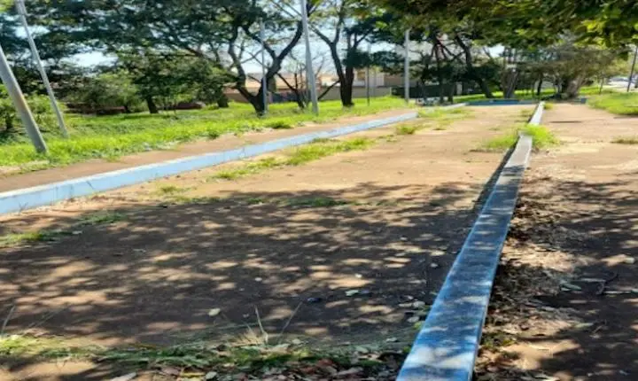 Proposta sugere criação de espaço para feiras populares no Bosque Maçônico